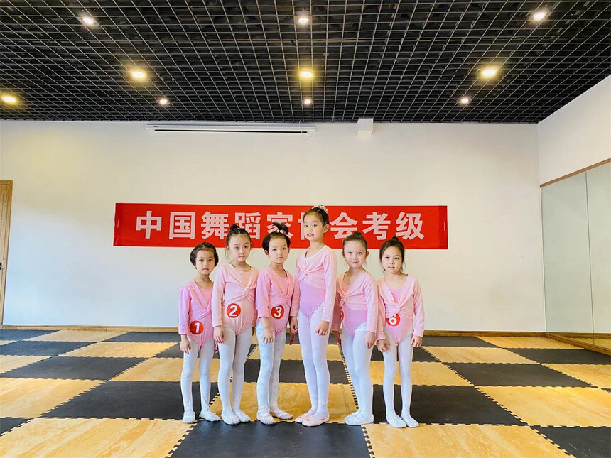 艺术领域 8