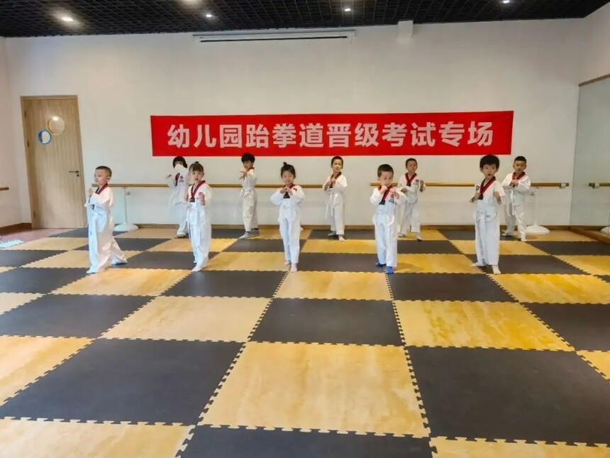健康领域 11