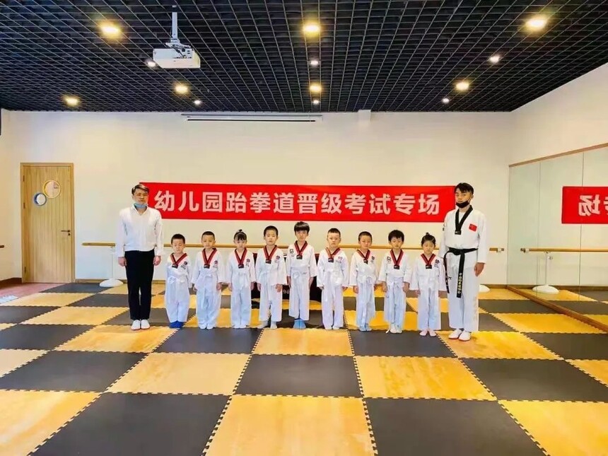 健康领域 12